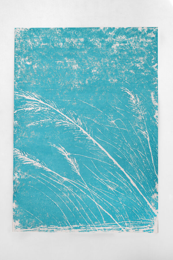 Vento - Image 3